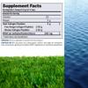 ANDREW LESSMAN Marine, Free Range Collagen Peptides Powder and MSM 60 Servings - Supports Radiant Smooth Soft Skin, Comfortable Joints. Super Soluble No Fishy Flavor No Additives Non-GMO view 2