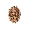 Food to Live Organic Cacao Beans, 1 Pound - Non-GMO, Keto, Vegan, Dry, Bulk, Rich in Dietary Fiber, Copper, Manganese, Magnesium, Zinc and polyphenols. Great Cocoa for Chocolate Making, Sirtfood view 4