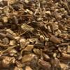 Mandrake Root Cut 1 oz view 1