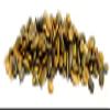 Good Sense Shelled Pumpkin Seeds (Pepitas), Roasted and Salted, 6 Ounces (6OZ Bag) view 3