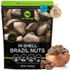 NUT CRAVINGS - Raw Brazil Nuts In Shell - Whole, (16oz - 1 LB) Packed Fresh in Resealable Bag - Healthy Protein Food Snack, Food Assortments view 1