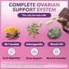 Intimate Rose Myo-Inositol & D-Chiro Inositol Blend - 40:1 Blend Ratio - Women's Daily Wellness Support - Vitamin D & Ashwagandha, 3 Bottles view 4