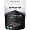 Terrasoul Superfoods Organic Raisins, 2 Lbs - Seedless | No-Sugar Added | No Preservatives view 1
