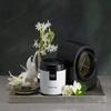 Renaissance Hotels Shiso Tea Home Diffuser with Cartridge view 2