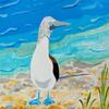Avery Kelly Blue-Footed Boobies Boxed Notecard Set - 10 Blank Cards with Envelopes - Two Cards each of Five Different Illustrations - by Artist view 4