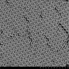 Alpha Nanotech Colloidal Polystyrene Beads (Non-Functionalized; 10 m, 10 mg/ml, 10 ml) view 1