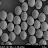 Alpha Nanotech Colloidal Polystyrene Beads (Non-Functionalized; 10 m, 10 mg/ml, 10 ml) view 2