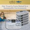 COLES - Smoked Trout Fillet with Extra Virgin Olive Oil | 3.2oz Hand-Packed Canned Fish | High in Protein & Vitamin D | Preservative Free | Pack of 10 view 3
