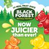 Black Forest Gummy Bears Candy, Made With Real Fruit Juice, Resealable 5-Pound Bulk Bag view 2