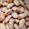 Bush Bean Pinto Bean Seeds view 4