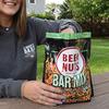 BEER NUTS Bar Mix w/Wasabi - Pretzels, Cheese Stix, Sesame Stix, Insane Grain & Wasabi Peas - 12oz Resealable Jar (Pack of 3) view 4