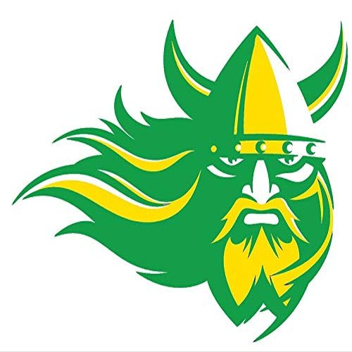 1/2 Sheet - Green and Yellow Viking Mascot Birthday - D24636 - 2D Edible Cake Cupcake Party Topper