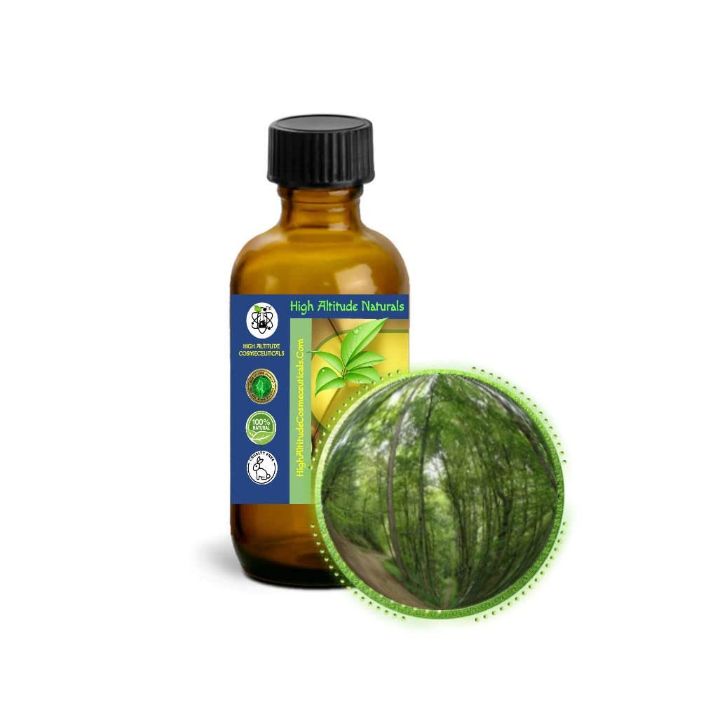 60ml (2oz) Black Birch (Sweet) Bark Essential Oil (Betula Lenta)