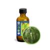 60ml (2oz) Black Birch (Sweet) Bark Essential Oil (Betula Lenta) view 1