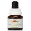 Australian Bush Flower Essences - Lichen 15mL view 1