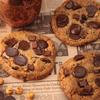 Sweet Street Sandy's Amazing Chocolate Chunk Manifesto Cookie (8 Count) view 3