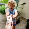 PASOKIN | Cocoa Crunch Natural Peanut Butter Bites | Gluten Free, Vegan, Protein Snack | Crunchy and Creamy | Chocolate Pacoca Made in USA, 6 Boxes with 6 Bites (36 Bites) view 4