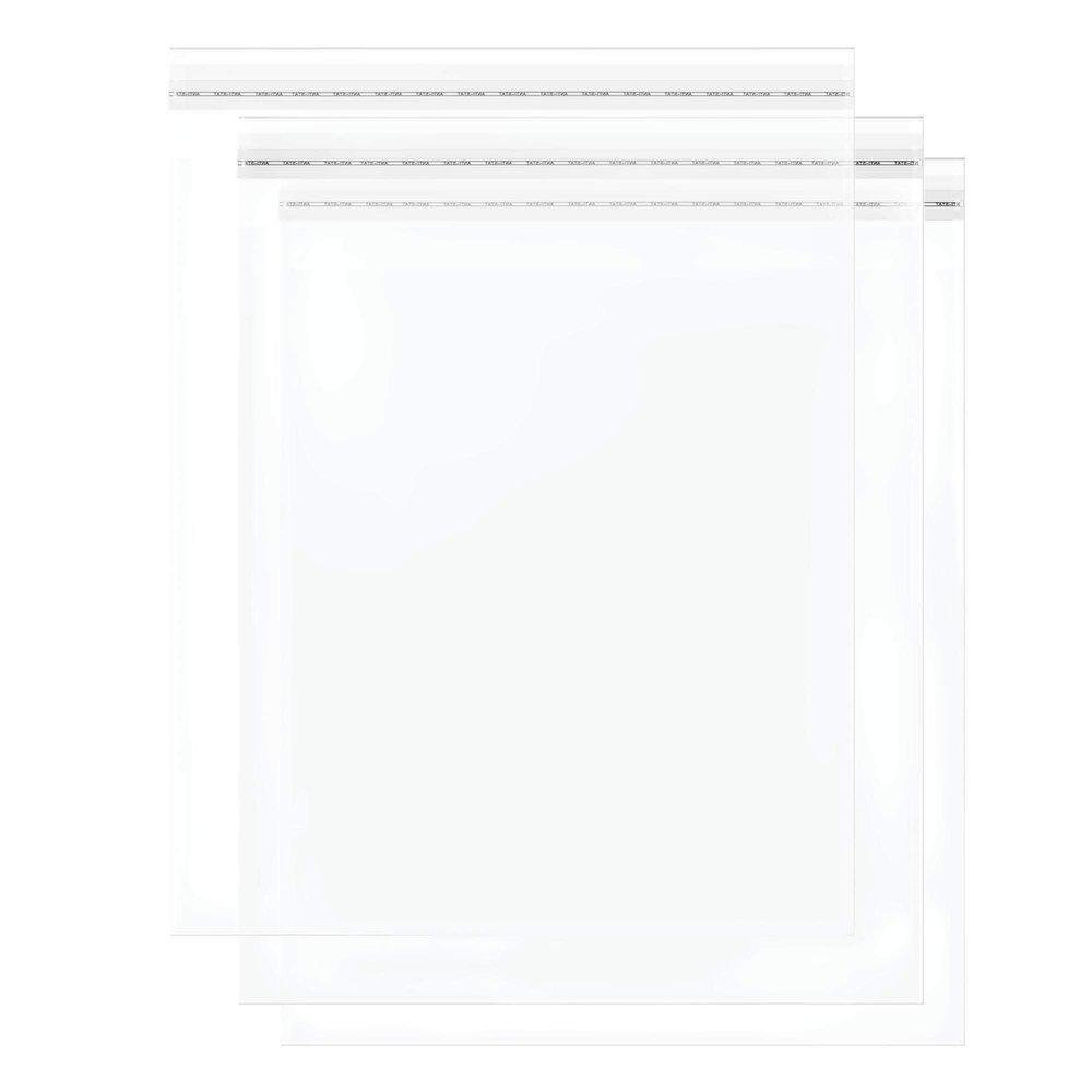The Elixir Packaging 11 x 14 inch 100 Poly Bag Clear Resealable Shipping Bags