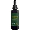 Global Healing USDA Organic Elderberry & Echinacea Liquid Supplement Tincture | Antioxidant Immune Support Against Harmful Organisms for Adults and Kids, Vegan, Non-GMO, 1-Month Supply (2 Oz) view 1