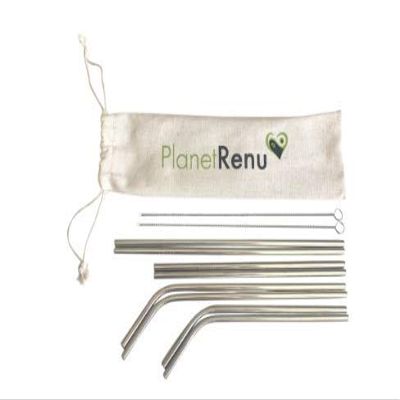 10 Pack Stainless Steel Straw Set- 8 Reusable Straws + 2 Cleaning Brushes (Silver)