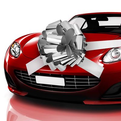 Zonon Big Car Bow Giant Car Bow with 20 ft Ribbon for Large Gift Wrapping New Houses Huge Present Birthday Christmas Decor(25 Inch,Glossy Silver)