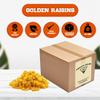 Raisins, Crop year 2024 Fresh Bright Yellow Golden seedless Sun-Dried, Naturally Sweet, Nutritious, Packed in a 10 lbs. (160 oz.) Packed in a box by Presto Sales LLC view 2
