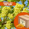 Raisins, Crop year 2024 Fresh Bright Yellow Golden seedless Sun-Dried, Naturally Sweet, Nutritious, Packed in a 10 lbs. (160 oz.) Packed in a box by Presto Sales LLC view 4