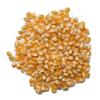 1000 Springs Mill Dry Popcorn Kernels - Non-GMO, Healthy Snack for Microwave or Stovetop - Bulk Organic Popcorn Kernels with Resealable Bag - Enjoy Fresh, Crisp, & Delicious Popcorn - 24oz (Pack of 3) view 4