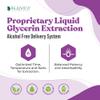 Active Biotin for Healthy Hair, Skin, and Nails | Convenient Liquid Dropper Absorbs Fast & Tastes Great | 3-Pack view 3