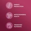 Dr. Mercola Organic Fermented Beets - Nitric Oxide Support - USDA Organic, Non-GMO, Gluten-Free & Soy-Free - 60 Capsules view 4