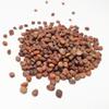 100+ pk Rambo Radish Seed, Home Garden, Sprouting Seeds view 3
