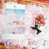 100G Raffia Paper Shreds & Strands,5Pack Colorful Shred Paper Raffia Tissue Paper Grass Stuffers,Shredded Crinkle Confetti for Holiday DIY Gift Wrapping & Basket Filling view 4