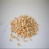 Amish Country Popcorn | 25 lb Bag | Mushroom Popcorn Kernels | Old Fashioned, Non-GMO and Gluten Free (Mushroom - 25 lb Bag) view 2