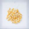 Amish Country Popcorn | 25 lb Bag | Medium Yellow Popcorn Kernels | Old Fashioned, Non-GMO and Gluten Free (Medium Yellow - 25 lb Bag) view 4