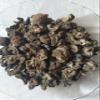 Ambe Ayurveda - Amla Dry - Indian Gooseberry Dried - 100gm view 1