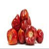 BSD Organics Hot Spicy Round Red Chilli Whole / Milaka / Paprika / Mirch Spice (500 Gram / 1.1 Pound) view 3