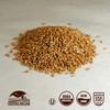 100% Organic Hard Red Spring Wheat Berries- 25 lbs view 2
