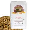 100% Organic Rye Berries - 25 lbs view 1