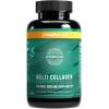 Primal Harvest Multi Collagen Pills for Women and Men (Type I, II, III, V, X) 120 Capsules w/Vitamin C for Hair, Skin, Nails view 1