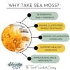 Elderwise Raw Sea Moss | Seamoss Makes 20oz of Gel | Wildcrafted Golden Sea moss | Raw | Sundried | Mineral and Vitamin Rich | Golden view 3