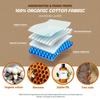 Akeeko Reusable Beeswax Food Wraps - Assorted 9 Packs, Reusable, Plastic-Free Food Storage, 5 Small, 2 Medium, 1 Large, 1 Extra Large Wraps with Abstract Curves Pattern view 3