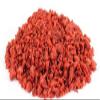 Imitation Bacon Bits by Its Delish, Kosher Parve Vegan (2 lbs) view 2