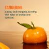 Liquid I.V. Hydration Multiplier +Immune Support - Tangerine | Electrolyte Powder Drink Mix | 1 Pack (14 Servings) view 3