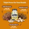 American Standard Supplements Organic Sea Moss, Bladderwrack & Burdock Root Capsules - 1200mg Seamoss, 1200mg Bladderwrack, 225mg Burdock Root Per Serving - 120 Capsules, 40 Servings view 4