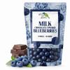 Green Jay Gourmet Milk Chocolate Blueberries - Handmade & Fresh Milk Chocolate Covered Blueberries from Michigan - Great Gift for Chocolate Lovers - 16 Ounce Resealable Bag view 1