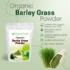 Z Natural Foods Organic Barley Grass Powder - USDA Organic Whole Food Green Blend for Energy Boost, Detox & pH Balance with Amino Acids, Minerals - Antioxidant Mix for Juice, Water, Smoothies, 5 lbs view 3