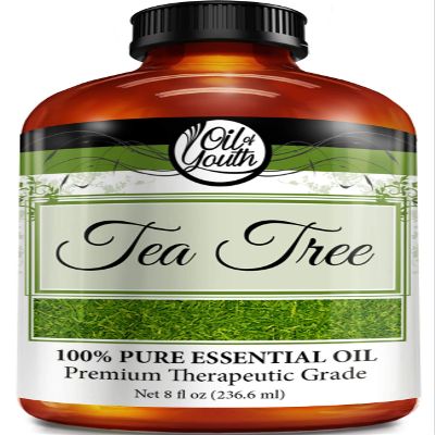 Oil of Youth Tea Tree Essential Oil - 8 Fluid Ounces Bulk