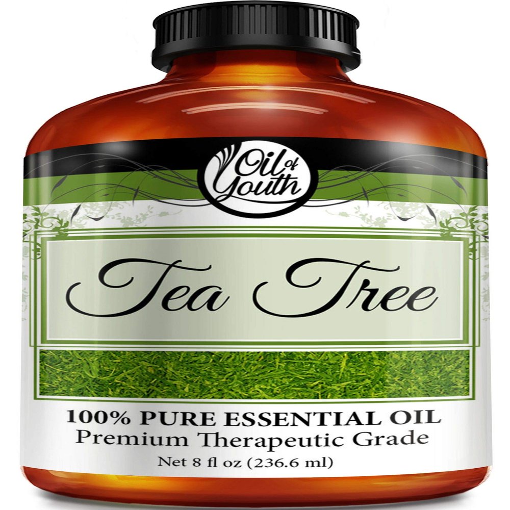 Oil of Youth Tea Tree Essential Oil - 8 Fluid Ounces Bulk