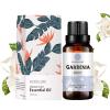 Gardenia Essential Oil, 100% Pure Diffuser Oil Gardenia Oil for Diffuser, Massage, Skin Care, Yoga - 30ML view 1