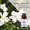 Gardenia Essential Oil, 100% Pure Diffuser Oil Gardenia Oil for Diffuser, Massage, Skin Care, Yoga - 30ML view 2